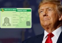 5 Jalur Utama Mendapatkan Green Card