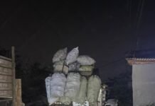 Aroma Busuk di Curug-Bitung: Mobil Dinas DLHK Kab,Tangerang Diduga Angkut Limbah Ilegal Tengah Malam